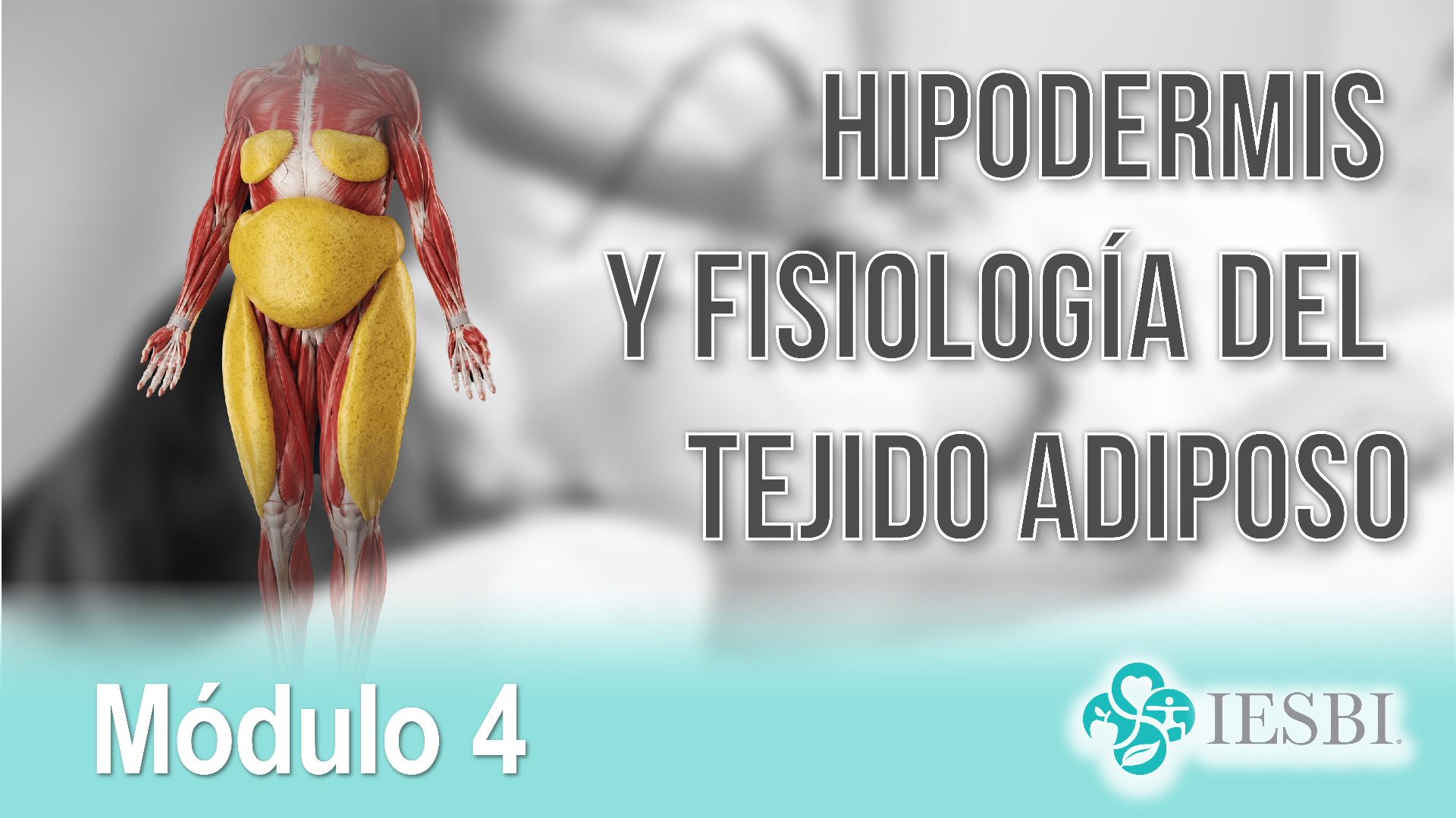 Hipodermis y Fisiología del Tejido Adiposo